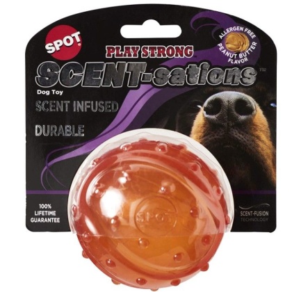 Spot Scent-Sation Peanut Butter Scented Ball