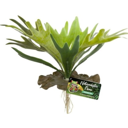 Zoo Med Naturalistic Flora Staghorn Fern