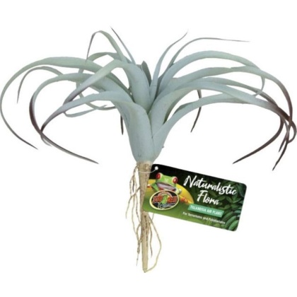 Zoo Med Naturalistic Flora Tillandsia Air Plant